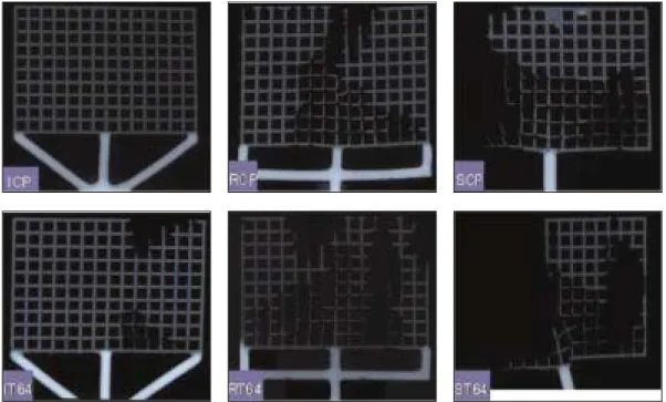 Fig. 3. X-ray radiograghs of mesh patterns. 