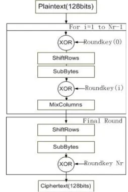 Fig.  1.  Encryption  process  of  the  AES  algorithm