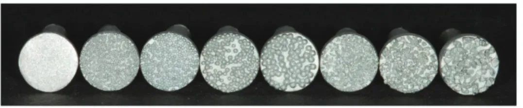 Fig. 1. Metal specimens with applied beads and crystals before resin veneer.