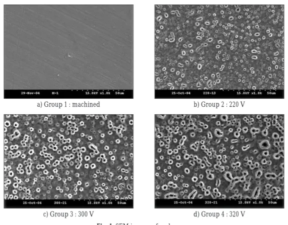 Fig. 1. SEM images of each group.  