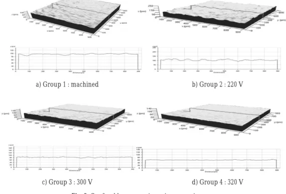 Fig. 2. Confocal laser scanning microscopy images. 