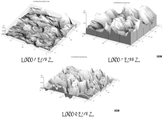 Fig. 5. XRD profiles of each group.