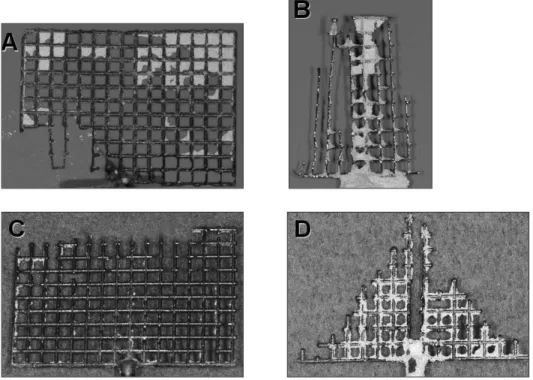 Fig. 4. Casting body images of mesh pattern.