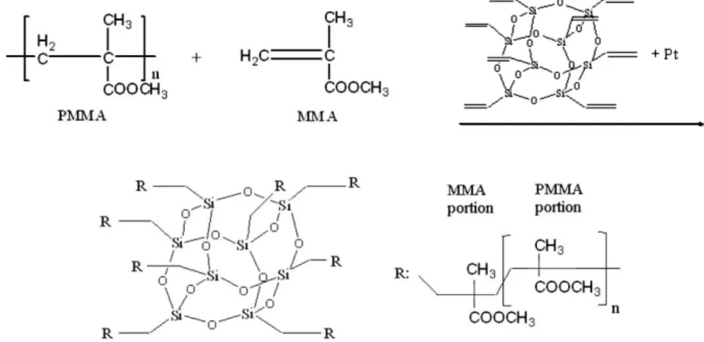 Fig. 1. The basic scheme of the POSS.