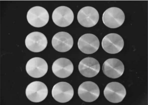 Fig. 1. Titanium alloy discs used in this study. 