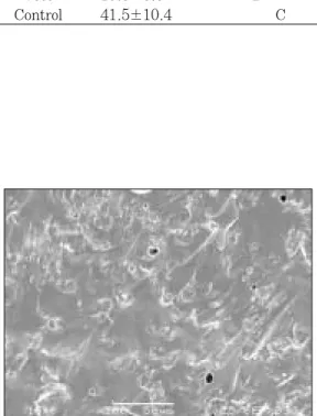 Fig. 5. SEM photographies showing fracture sur- sur-face of control group(×500).