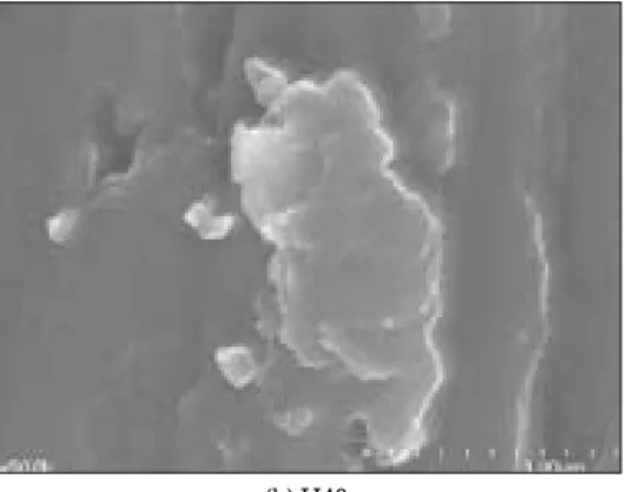 Fig. 2. SEM images of six treated groups (magnification of ×50,000).