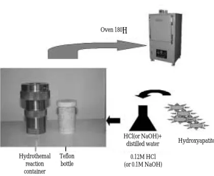 Fig. 1. The experimental apparatus for the hydrothermal method.