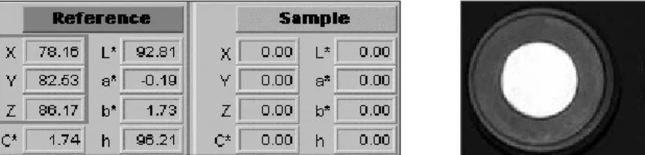Fig. 5. Calibration of white standard.