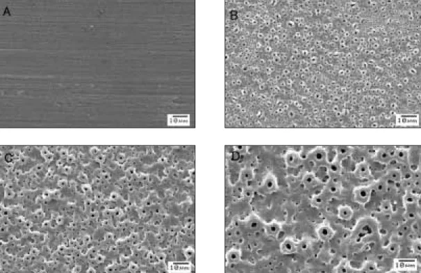 Table Ⅱ is showed the optical interferometer analysis results. The anodized discs showed a rougher surface than the machined discs