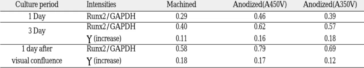 Fig. 3. Cbfa1 (Runx2) mRNA expression in MG63 cells grown on machined and anodized surface.