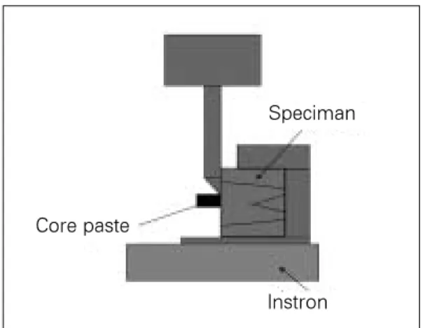 Fig. 3. Schematic design for shear bond strength test- test-ing of the bonded assembly (Instron Co., England).