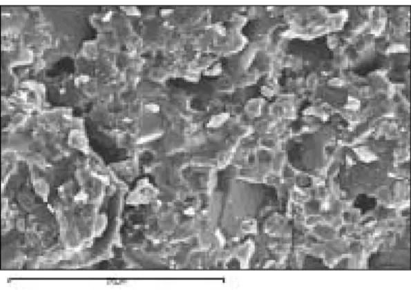 Fig. 7. Scanning electron microscopic view of frac- frac-tured surface of Celay Zirconia(×3000).