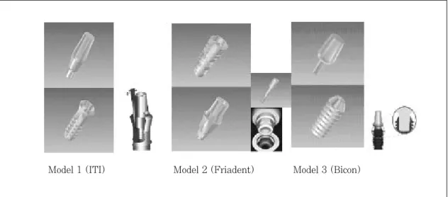 Fig. 1. Schematic representation in models.