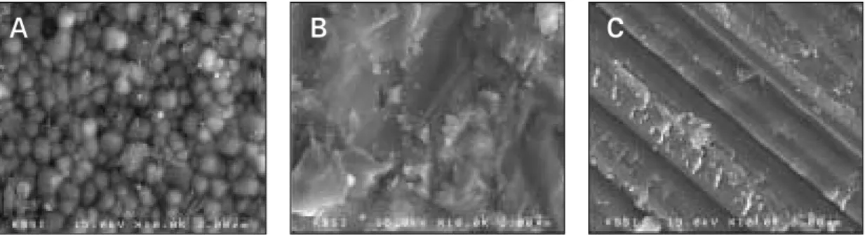 Fig. 4. SEM pictures of Zi-Ceram (Original magnification ×10000). A, Processed surface with microgap between zirconia particles