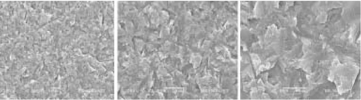 Fig. 6. Ceramic specimen micro-etched with 50㎛ alumina particles for 5 seconds (no etching).