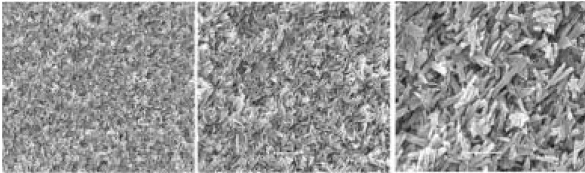 Fig. 9. Ceramic specimen etched with 10% HF for 600 seconds.