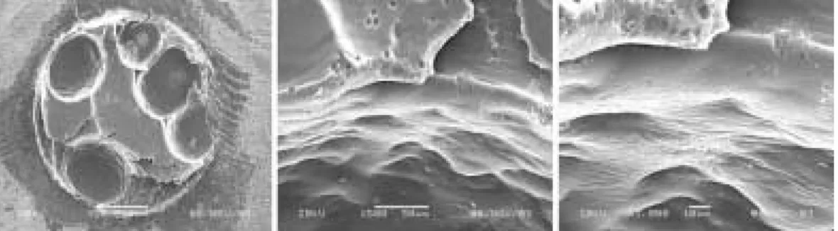 Fig. 13. Failure pattern of Super-Bond C&amp;B resin cement. 