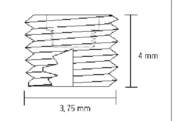 Fig. 1. Schematic drawing of experimental implant.