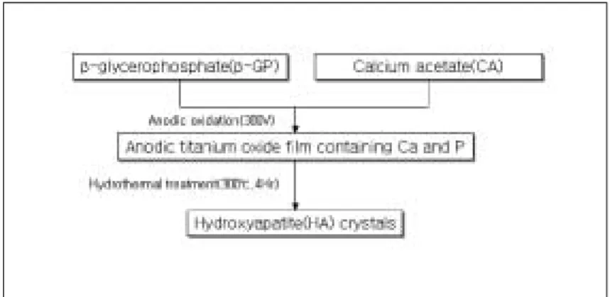 Fig. 2. Procedure for anodizing and forming HA layer.