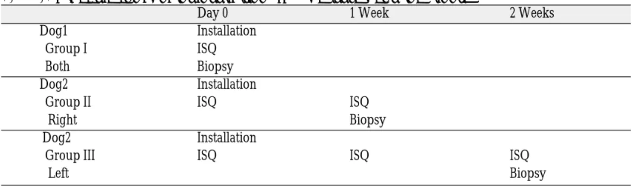Table I. Schedule for implant installation, ISQ measurement and biopsy