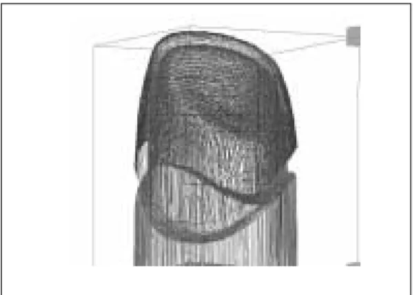 Fig. 4. Modelling of master die using contact dig- dig-itizer