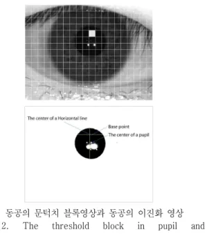 Fig.  1.  A  sample  of  partitioned  iris  image