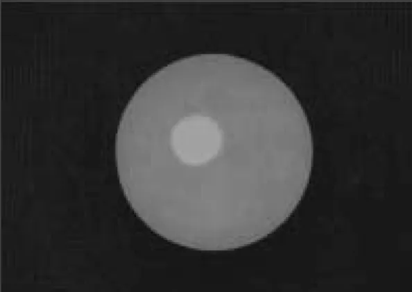Fig. 1. Porcelain disc embedded in PMMA