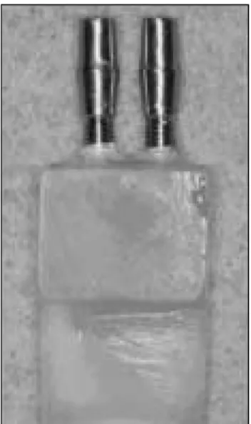 Fig. 1. The two implants with the cement-retained abutments embedded in the block of acrylic resin