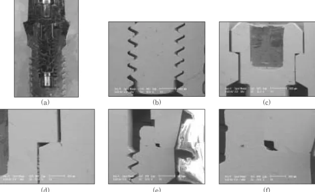 Fig. 5. Optical cross-sectional micrograph(a) and SEM(b, c, d, e, f) of implant-abutment connection in Steri- Steri-Oss implant system with Torque-Tite screw.