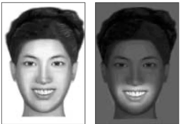 Fig. 3. Photograph showing non-masked image and masked image. 