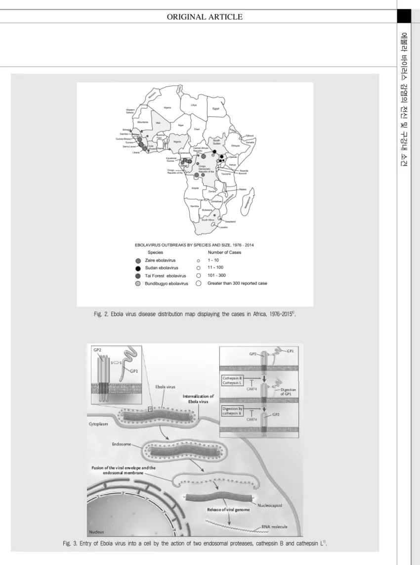 Fig. 2. Ebola virus disease distribution map displaying the cases in Africa, 1976-2015 6) .