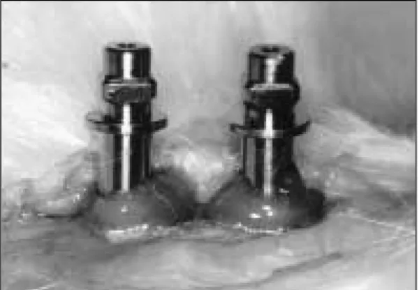 Fig. 3. Transducer attached to implant which placed into rabbit tibia.