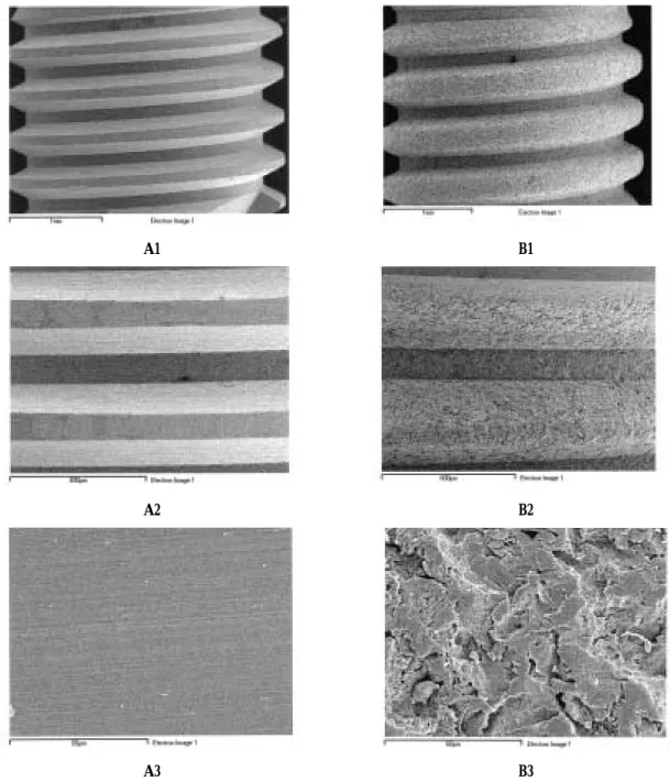 Fig. 6. Scanning electron microscopy of custom-made implants. (A1) Implant with machined surface ×40 mag