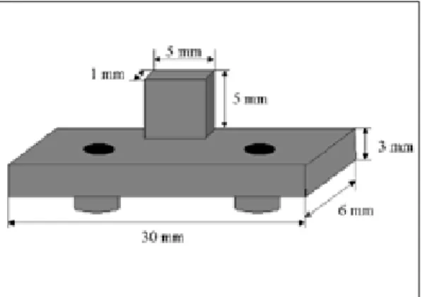 Fig. 3. Master cast Fig. 4. Individual tray
