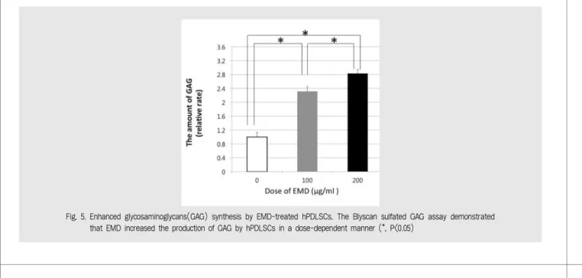 Fig. 5. Enhanced glycosaminoglycans(GAG) synthesis by EMD-treated hPDLSCs. The Blyscan sulfated GAG assay demonstrated that EMD increased the production of GAG by hPDLSCs in a dose-dependent manner (*, P&lt;0.05)