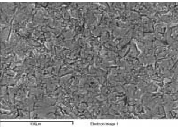 Fig. 7. Sandblasting with 250㎛ aluminum oxide under SEM(X500)