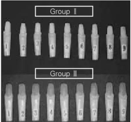 Fig. 3. Design of each specimen in Group Ⅱ and Ⅲ Fig. 4. Group Ⅱand Ⅲ with post and coreGroup Ⅱ