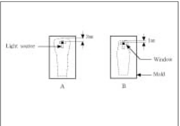 Fig. 6. Diagram of silicone-molds for measuring the optical  transmittance;  with  all-ceramic  crown cemented(A) and without all-ceramic crown(B)