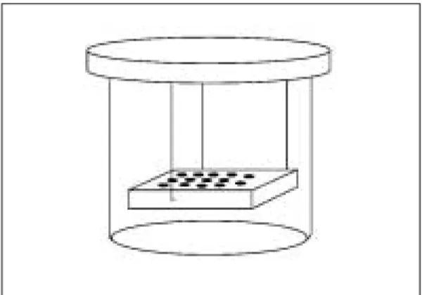 Fig. 1. Schematic diagram of wax block containing the resin specimens in the beaker.