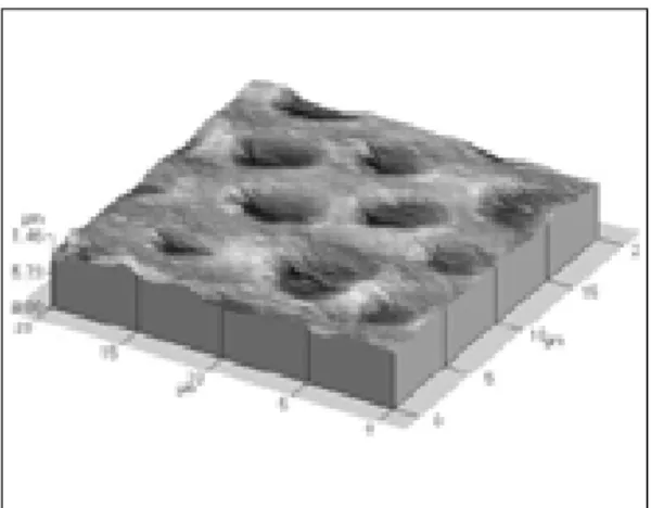 Fig. 10. MS Coat: AFM of dentinal surface: after 6-week tooth brushing.