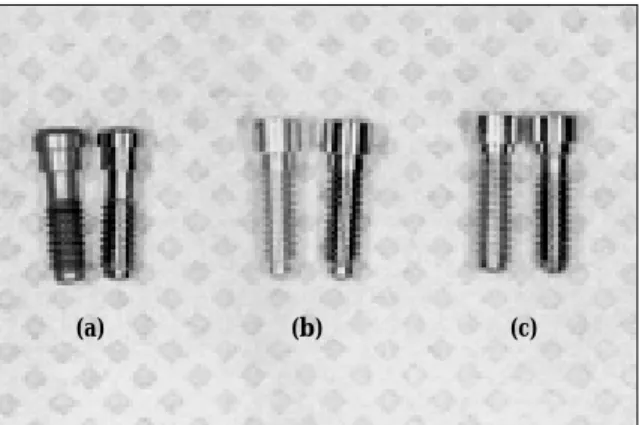 Table Ⅰ. Kinds of implant system, abutments, screws and torque value used in this study