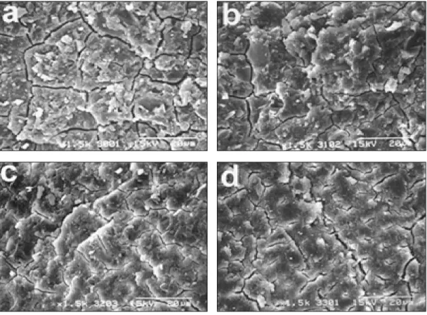 Fig.  5. Effect  of  conditioners  on  shear  bond strength of GC Fuji Plus  cement to dentin.