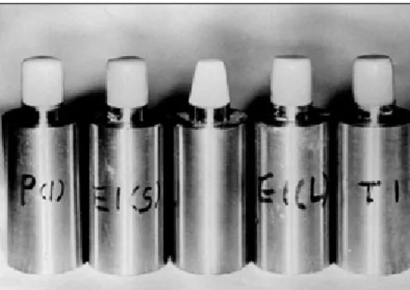 Fig. 2. Ten cylindrical crowns were fabricated for each crown system.