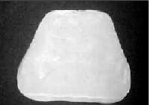 Fig. 4. POLYLUX-PT � (DREVE-DENTAMID GMBH, Germany) light curing unit.