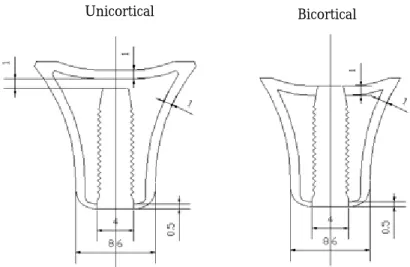 Fig. 1. Dimensions of maxilla model and implant.
