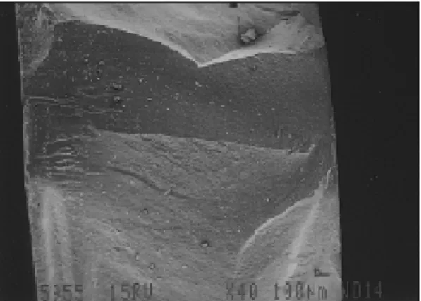 Fig. 8. SEM of fracture surface of Vita VMK spec- spec-imen (×1000).