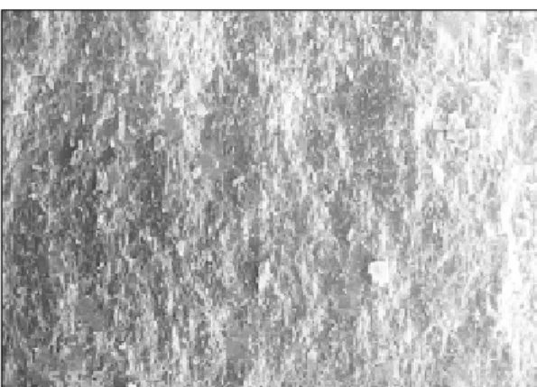 Fig. 12. SEM  of  fracture  surface  of  Empress  2 Layering specimen (×40).