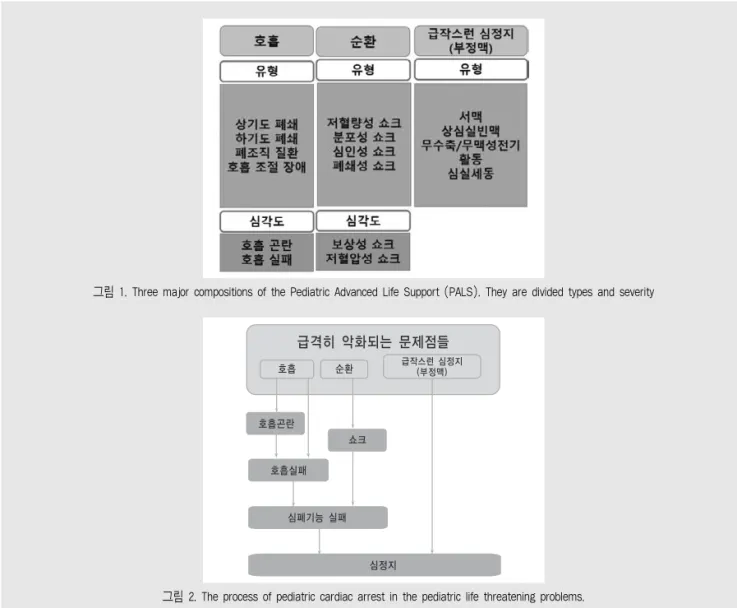 그림 2. The process of pediatric cardiac arrest in the pediatric life threatening problems.