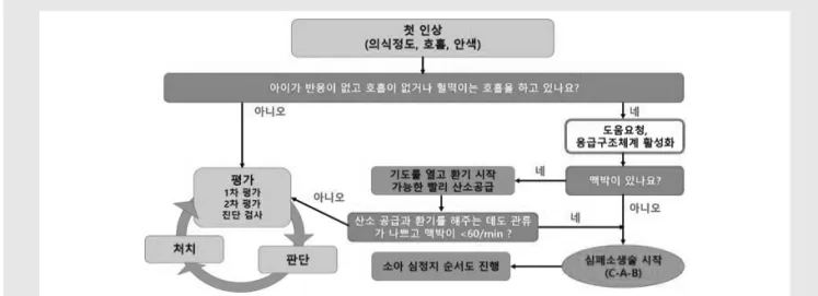 그림 3. The systemic flowchart of PALS in the emergency situation. 